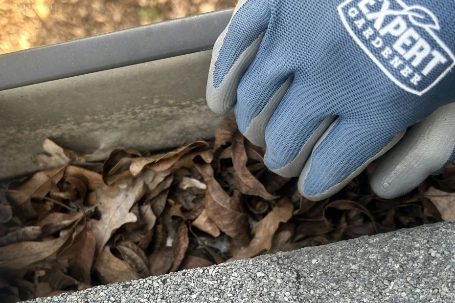 Gutter Cleaning Kernersville